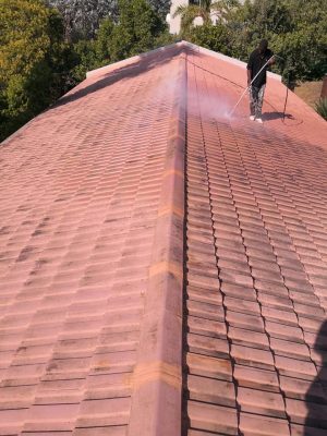 174159357_4034222996646298_8338310711284657243_n