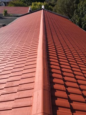 174266489_4034224376646160_6834287148076407975_n